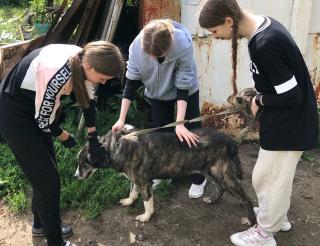  Сестры-двойняшки подарили надежду бездомным животным в Рязани 