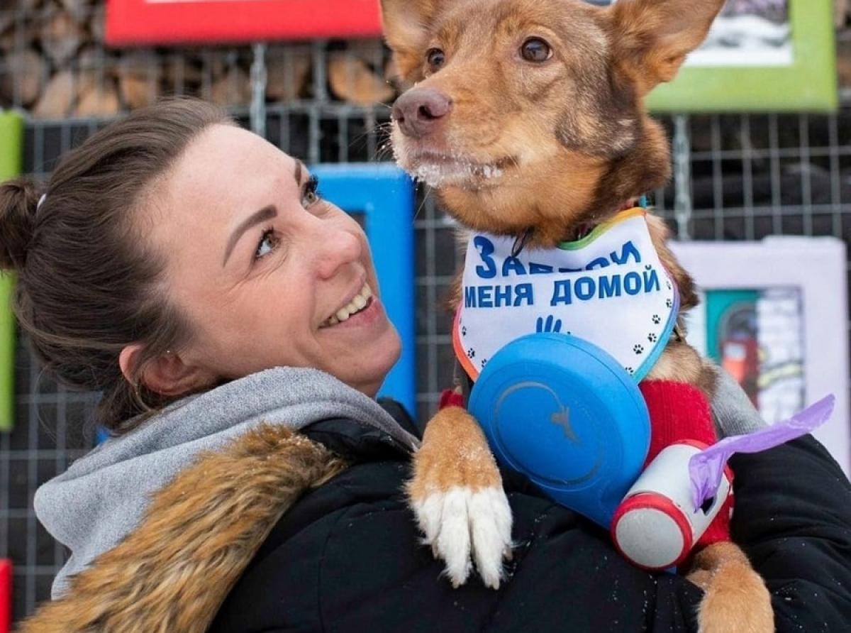 Minsk volunteers rescue homeless animals from bullets and euthanasia