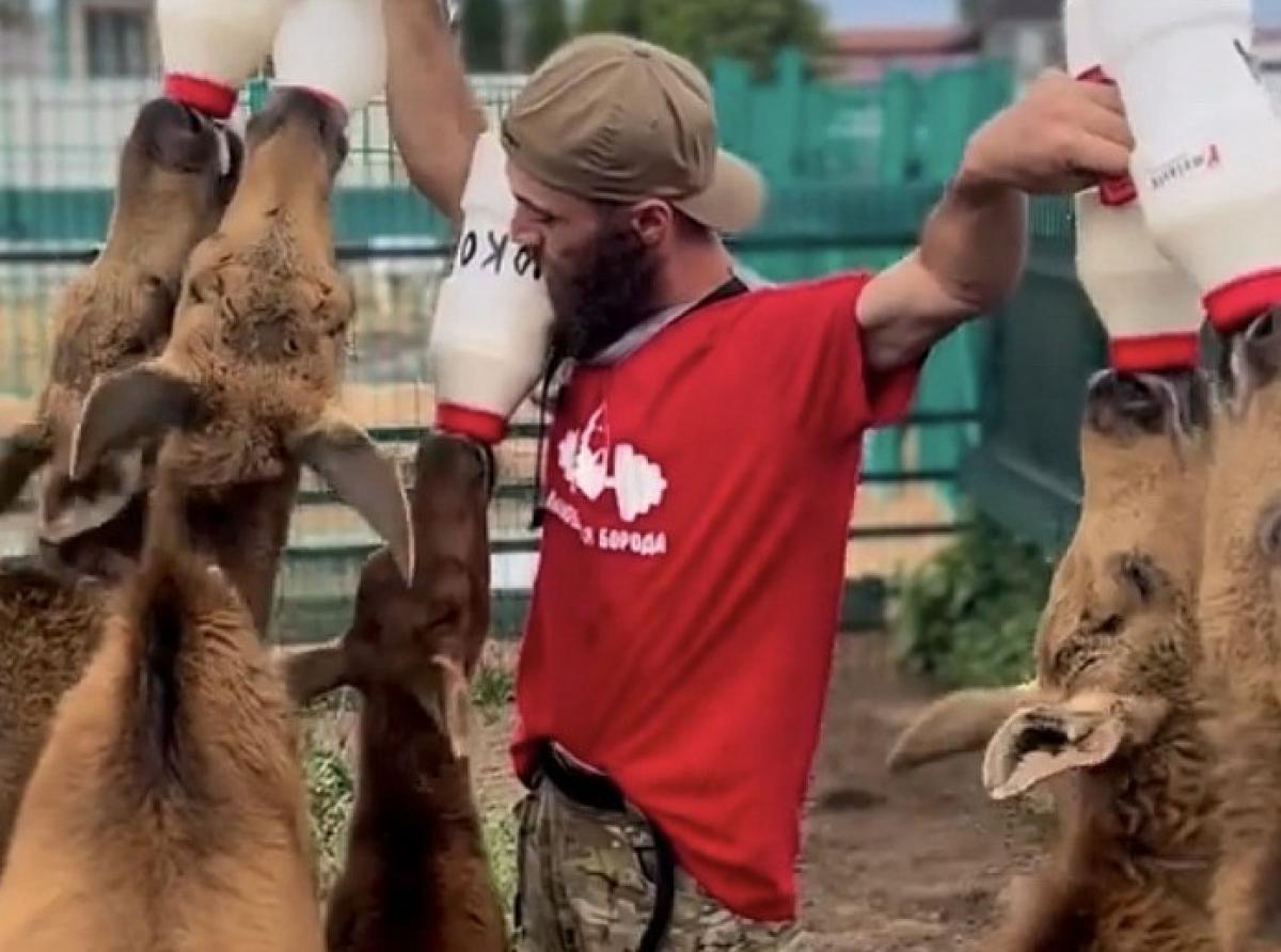 Artur Maliev, a resident of the Tver region, creates a shelter-reserve for the treatment and conservation of moose