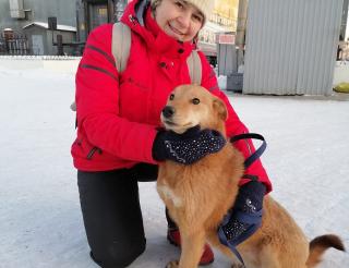 Волонтер Елена Никанорова спасает собак в приютах Бурятии от неизбежной эвтаназии и находит им новых хозяев