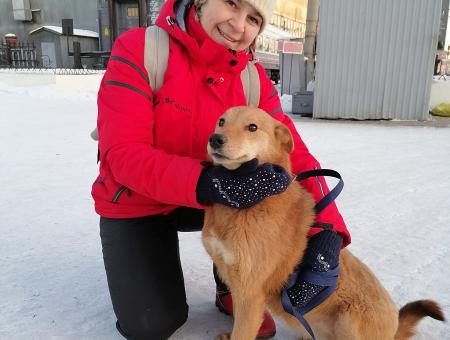 Volunteer Elena Nikanorova saves dogs in shelters in Buryatia from inevitable euthanasia and finds new owners for them