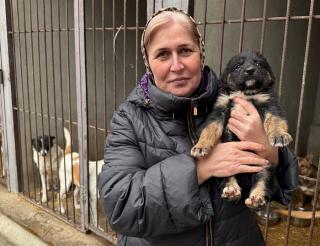 Жительница Грозного создала один их крупнейших приютов для бездомных животных в России