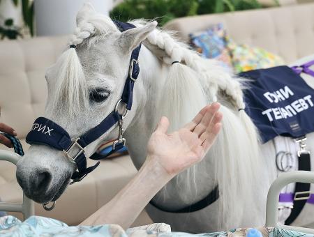 A pony therapist from the Moscow region helps seriously ill children and adults