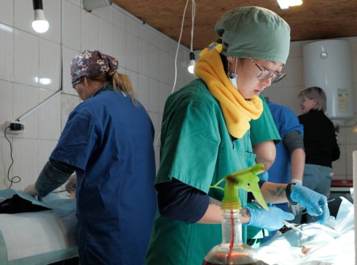 Волонтер из Казахстана выучилась на ветеринара и создала единственный в стране ветмобиль