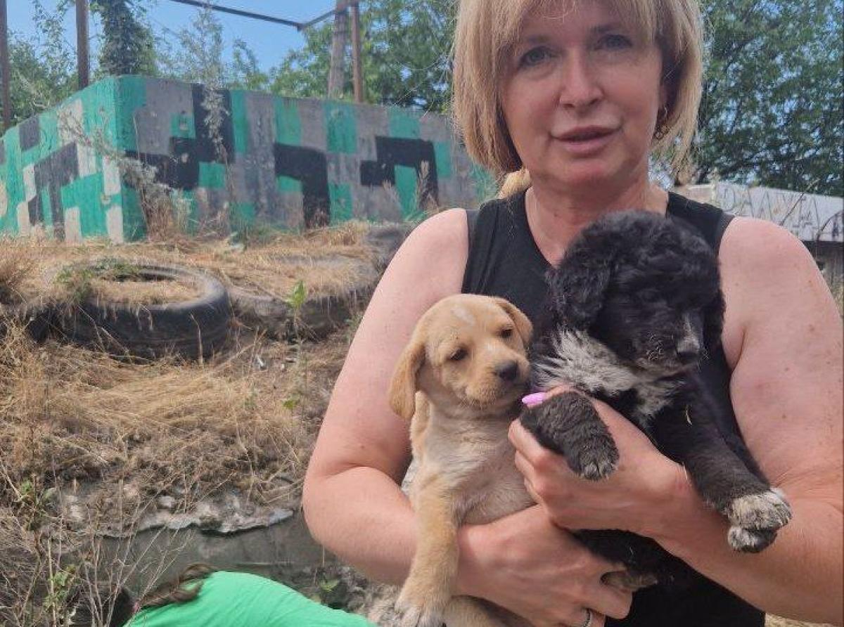 Казанские волонтеры спасают животных из зоны СВО