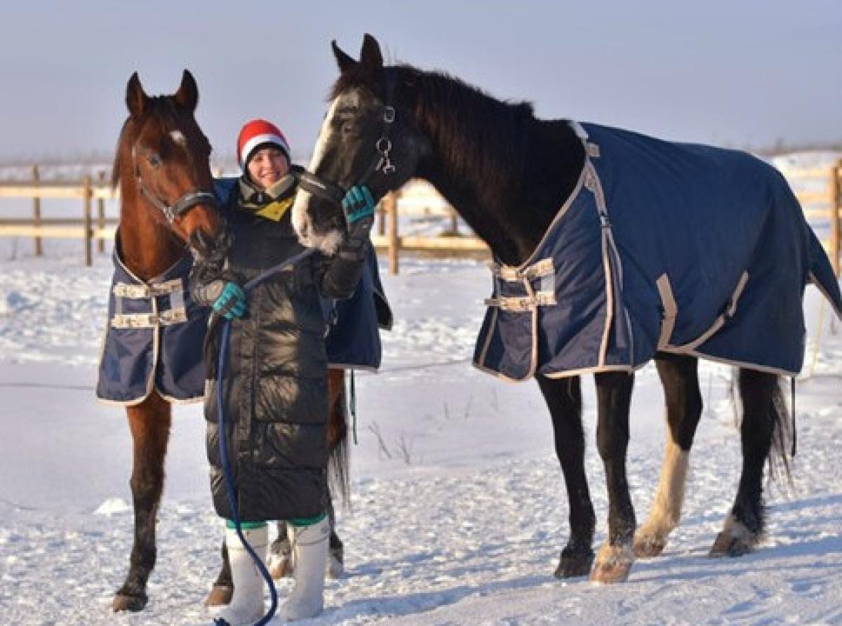 Небольшую конюшню под Клином волонтеры превратили в приют для лошадей-компаньонов