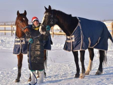 Небольшую конюшню под Клином волонтеры превратили в приют для лошадей-компаньонов