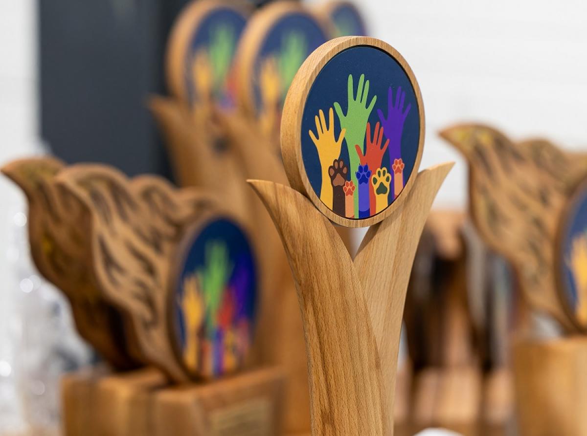 Подводим итоги первой недели «Народного голосования»