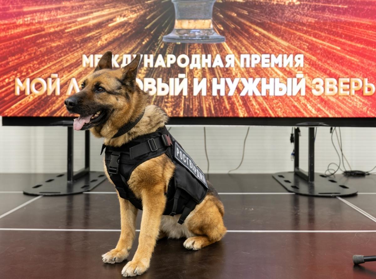 До финала «Народного голосования» осталась неделя!