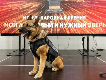 До финала «Народного голосования» осталась неделя!