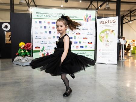 We are announcing the winners of the seventh season!