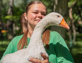 Гусыня Гусенька спасла поросят от морозов в зоне СВО