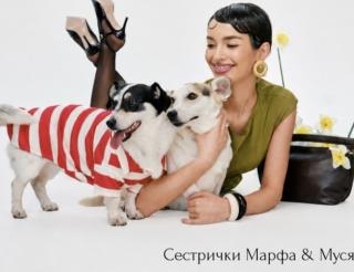 Креативность: фото- и видеосессии помогают спасать собак и кошек во Владикавказе
