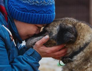 The Road of Kindness: Shelter dogs have become therapy friends for orphanage and special needs children in Vladimir