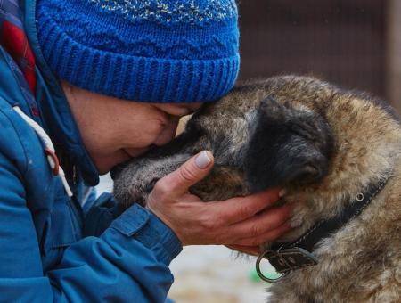Дорогой добра: приютские собаки стали друзьями-лекарями для детдомовских и особенных детей во Владимире