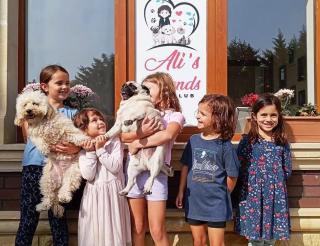 Ali’s Friends: в Азербайджане появился первый бесплатный детский сад для собак