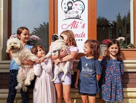 Ali’s Friends: в Азербайджане появился первый бесплатный детский сад для собак