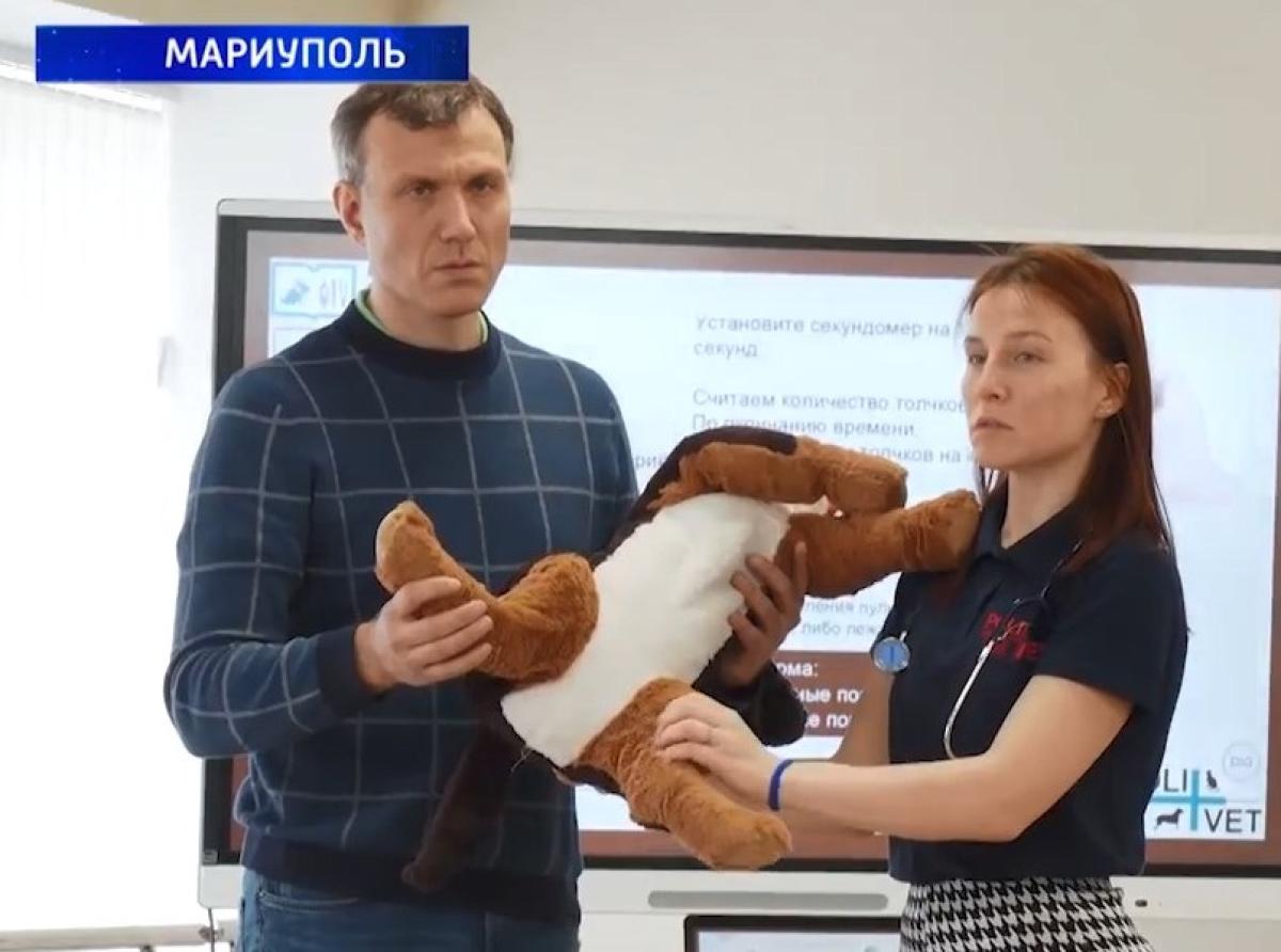 Московские ветеринары учат спасать служебных собак на фронте