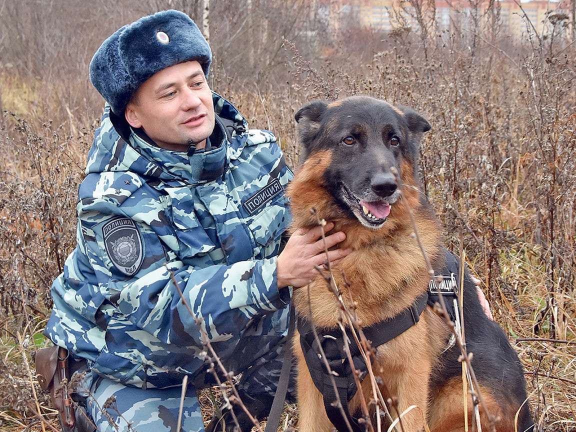В Йошкар-Оле полицейский пёс Портекомаро нашёл замерзавшего человека