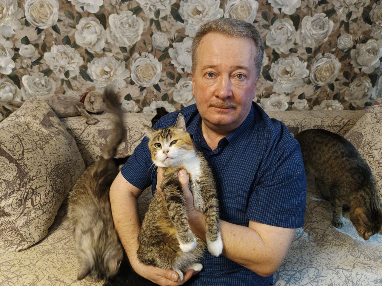 “Кошки Михалыча” (Санкт-Петербург)