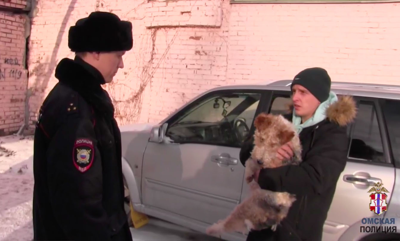 Житель Омска достал собаку из машины